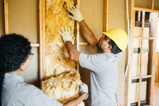 Best Insulation Installation Cost  in Samson, AL